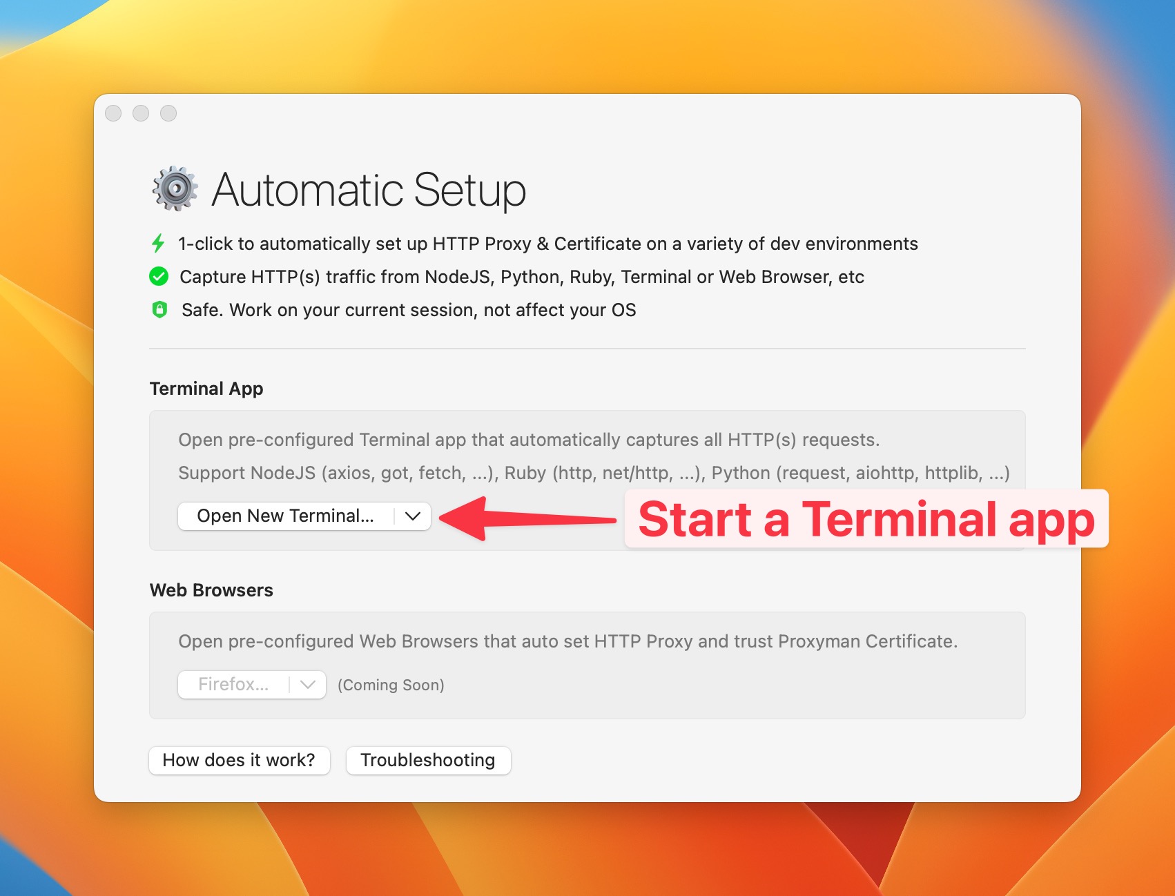 Open pre-configured Terminal app which can capture Ruby HTTP Traffic with zero configuration