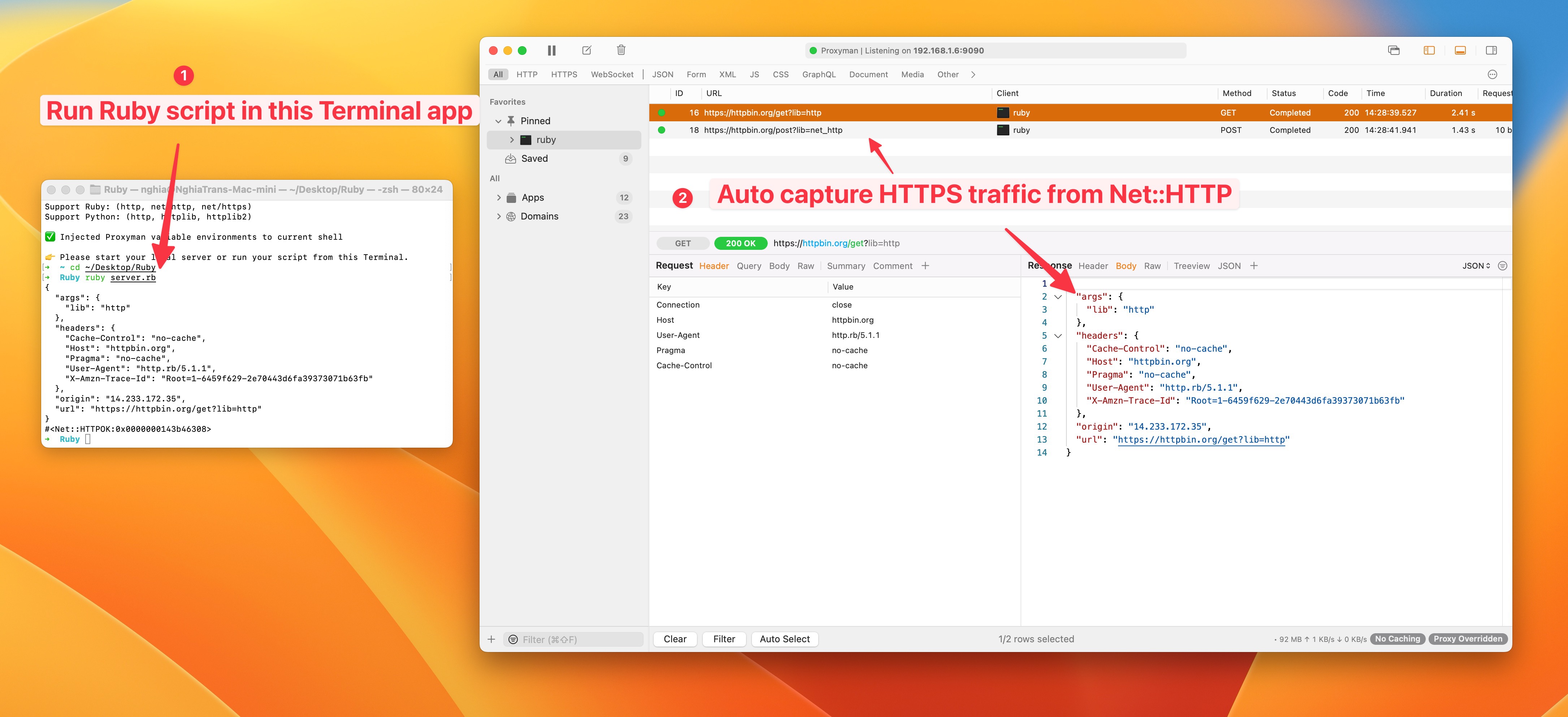 Run Ruby script and see HTTP traffic from net/http or http gem with Proxyman