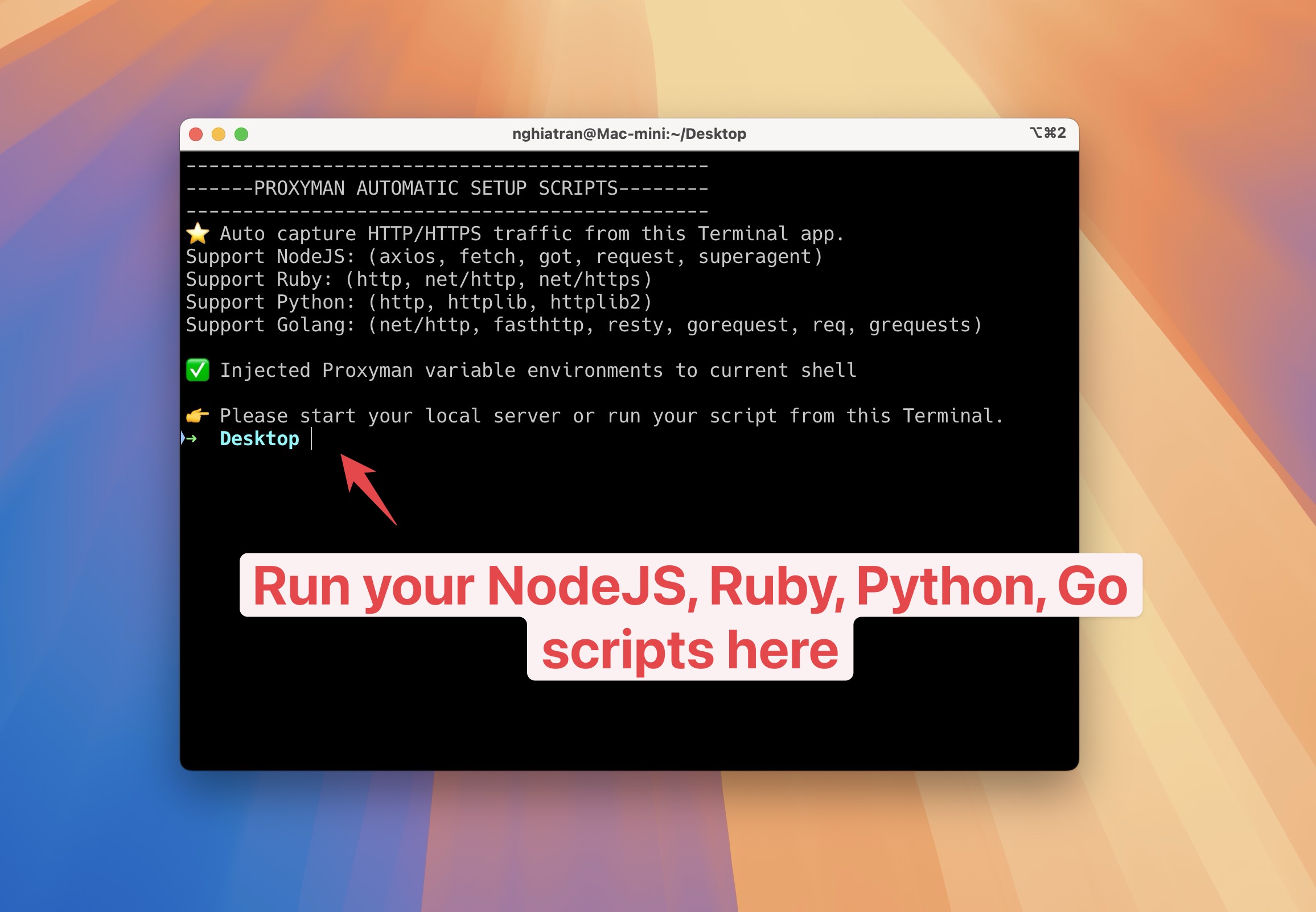 Start new Terminal that can capture traffic from NodeJS, Python, and Ruby and Golang